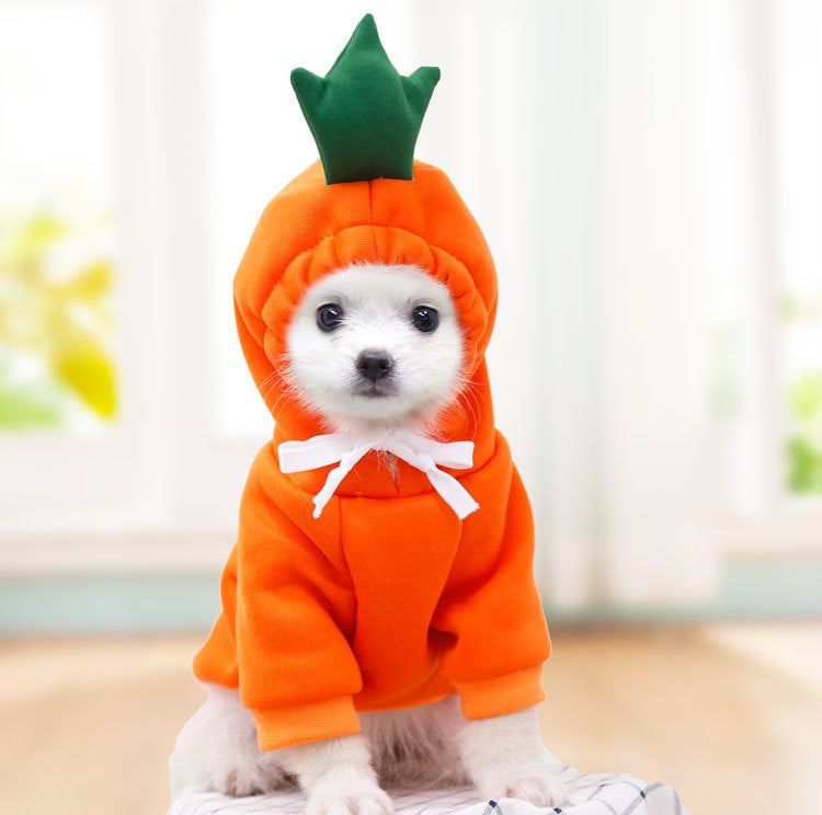 Winter Pet Sweater With Fruit Prints