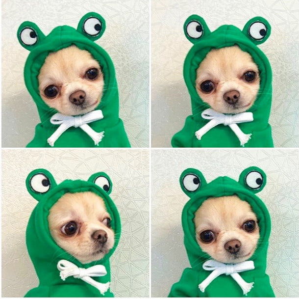 Winter Pet Sweater With Fruit Prints
