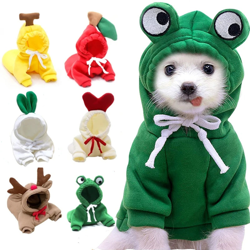 Winter Pet Sweater With Fruit Prints