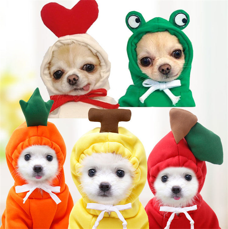 Winter Pet Sweater With Fruit Prints