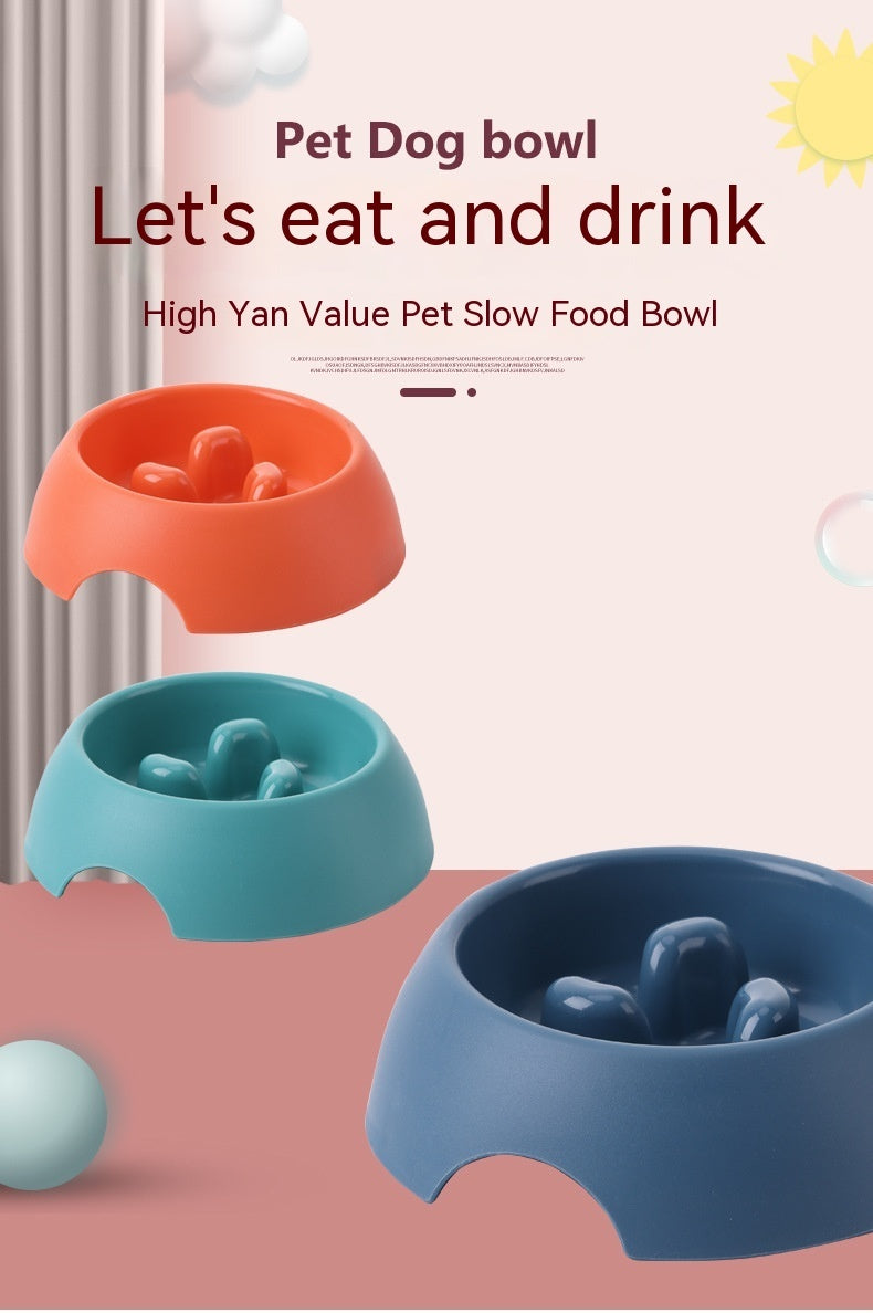 Slow Feeder Bowl