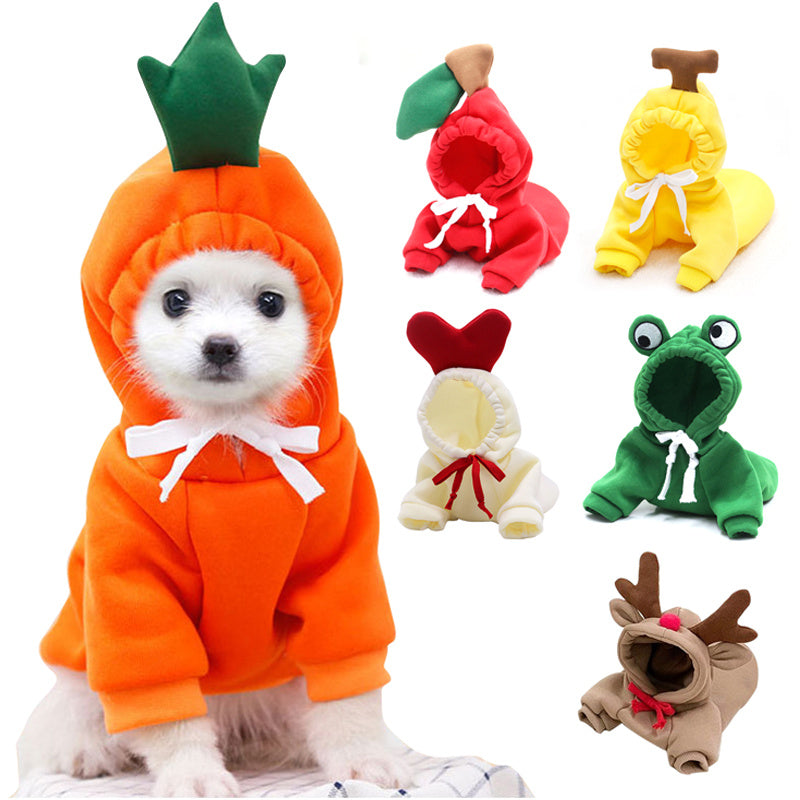 Winter Pet Sweater With Fruit Prints
